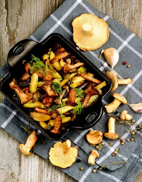 Roasted Chanterelles Ragout — Stock Photo, Image