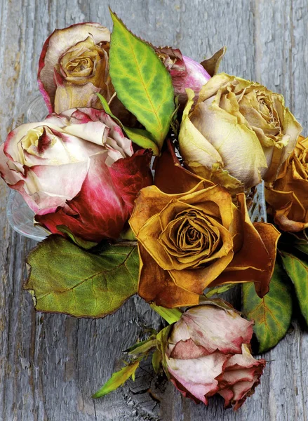 Μάτσο τριαντάφυλλα μαραμένα — Φωτογραφία Αρχείου