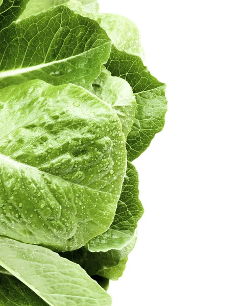 Rahmen Aus Frischen Romaine Salatblättern Lactuca Sativa Isoliert Auf Weißem — Stockfoto