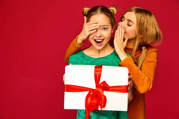 Noël Mas Concept Deux Belles Femmes Souriantes Dans Des Vêtements — Photo