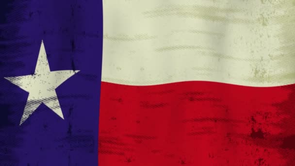 Texas Grunge Flagga Vinden Gammal Flagga Vinden För Dig Att — Stockvideo