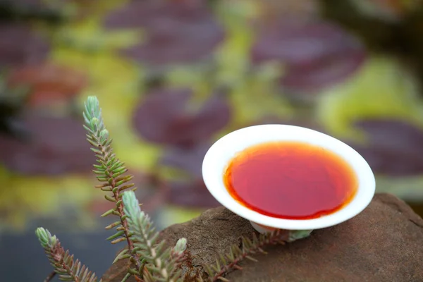 Chinese Zwarte Thee Tuin — Stockfoto