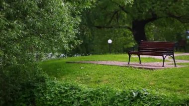 Yaz Park ahşap Bank
