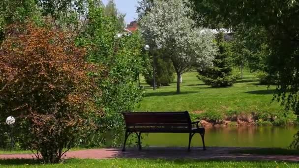 夏の公園の木製ベンチ — ストック動画
