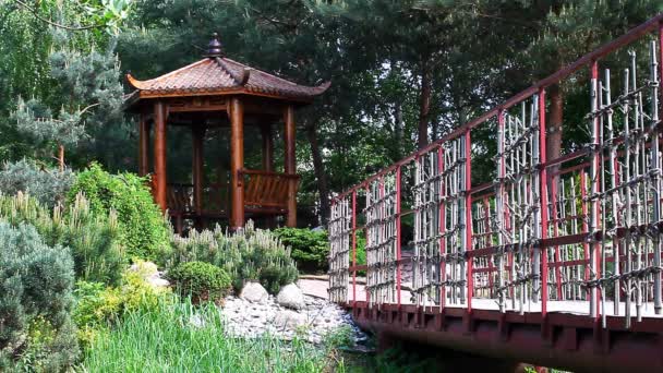 Parque Verão Chinês Arbor — Vídeo de Stock