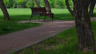 Yaz Park ahşap Bank