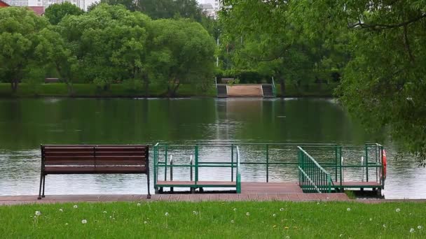 Sommaren Parken Träbänk — Stockvideo