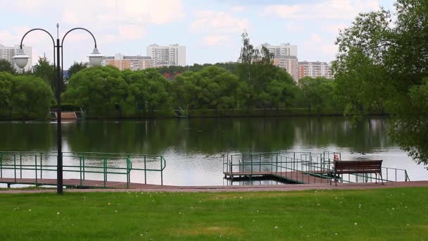 Деревянная Скамейка Саммер Парк — стоковое видео