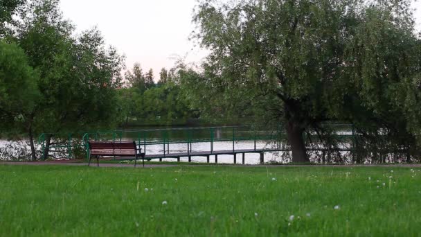 Sommaren Parken Träbänk — Stockvideo