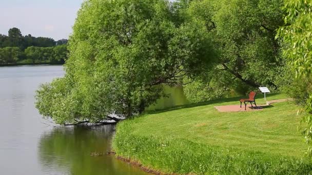 Sommaren Parken Träbänk — Stockvideo