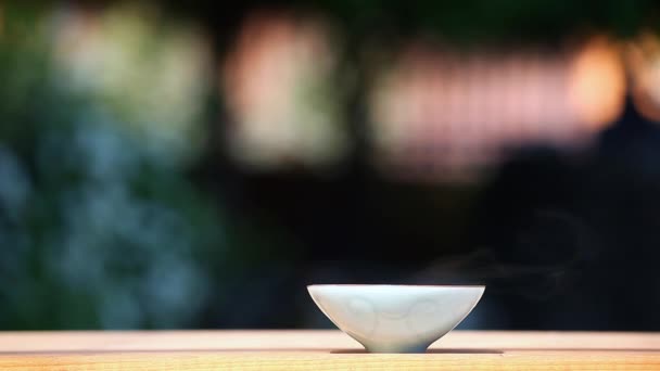 Black Chinese Tea Garden — Stock Video