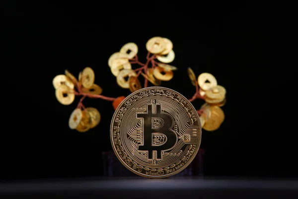 Gold Bitcoin Coin Tree — Stock Photo, Image