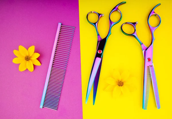 Hairstyle Tools Hairbrush Scissors — Stock Photo, Image