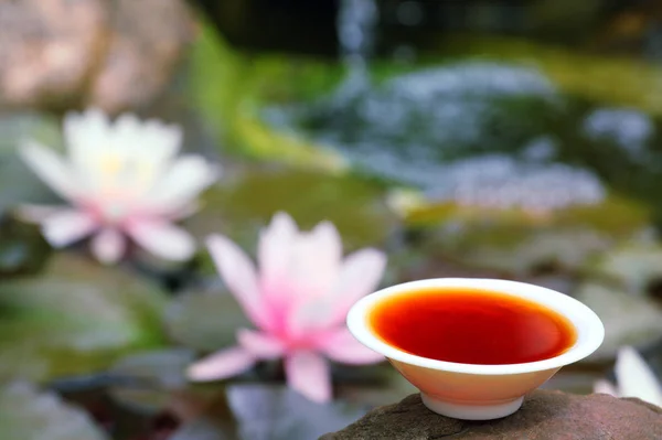 中国の黒茶の庭 — ストック写真