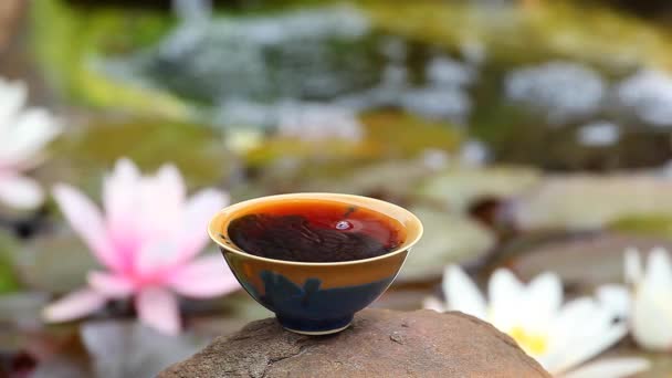 Jardim Chá Chinês Preto — Vídeo de Stock