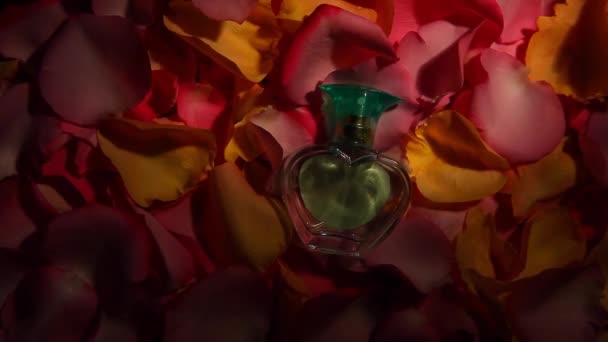 Pétalos Rosas Vidrio Perfume — Vídeo de stock