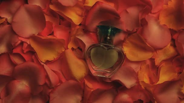 Pétalas Rosas Perfume Vidro — Vídeo de Stock