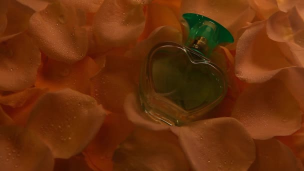 Pétalas Rosa Perfume Vidro — Vídeo de Stock