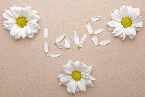 White Flowers Petals Text — Stock Photo, Image