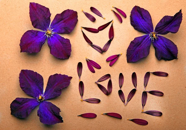 Fleurs Violettes Pétales Amour Texte — Photo