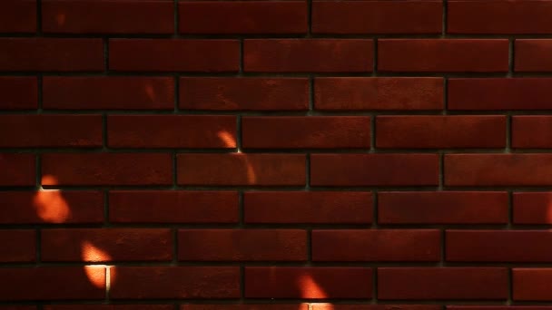 赤レンガ壁太陽反射 — ストック動画