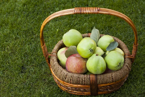 Grüner Apfelkorb Garten — Stockfoto