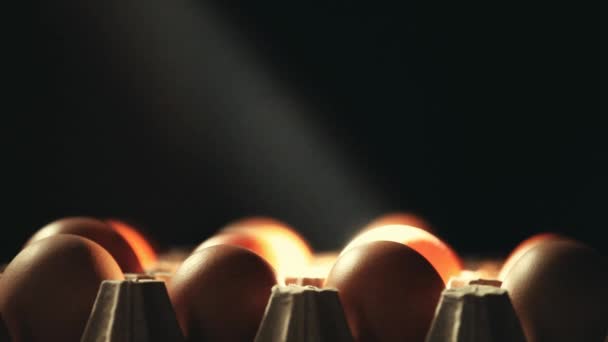 Kip Eieren Donkere Achtergrond — Stockvideo