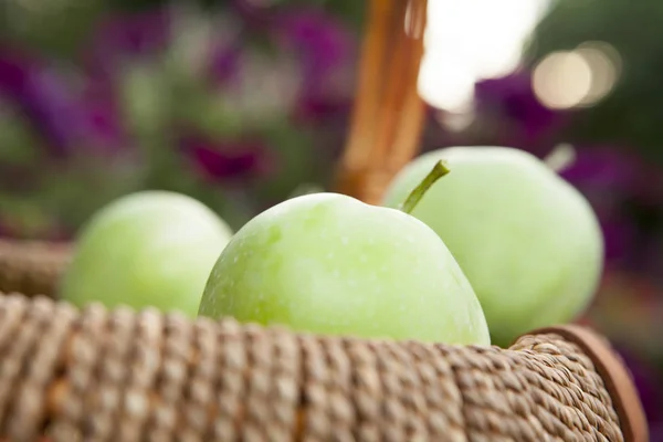 Grüner Apfelkorb Garten — Stockfoto