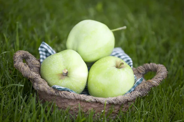 Zielony Ogród Apple Kosz — Zdjęcie stockowe
