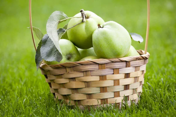 Green Apple Basket Garden — Stock Photo, Image