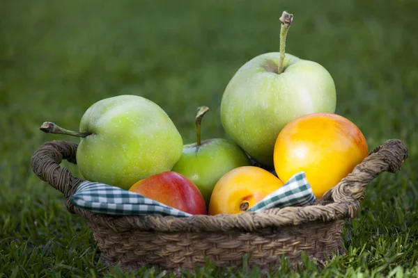 Frutas Cesta Jardim Verão — Fotografia de Stock