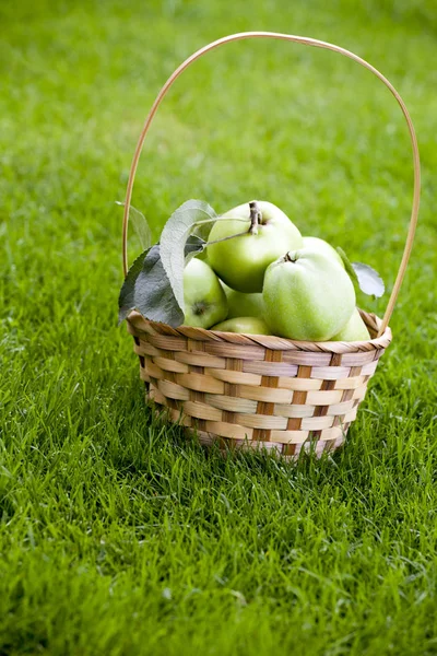 Grüner Apfelkorb Garten — Stockfoto