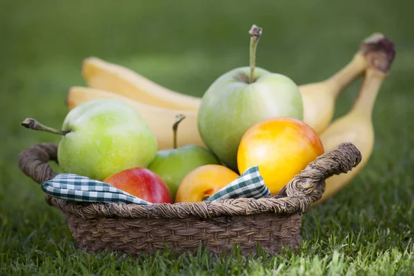 Ogród Letni Kosz Owoców — Zdjęcie stockowe