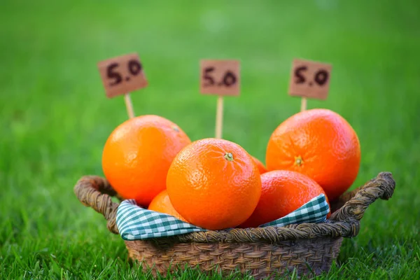 Mandarin Basket Summer Garden — Stock Photo, Image