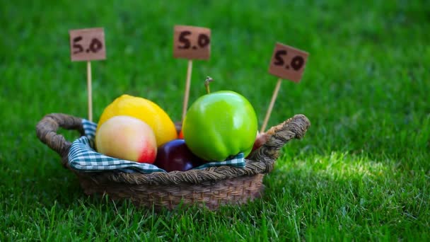 Frutas Cesta Verão Jardim Imagens — Vídeo de Stock