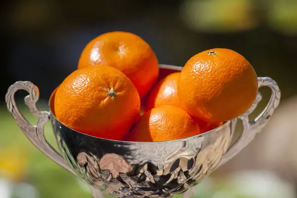 Mandarine Silberne Tasse Garten — Stockfoto
