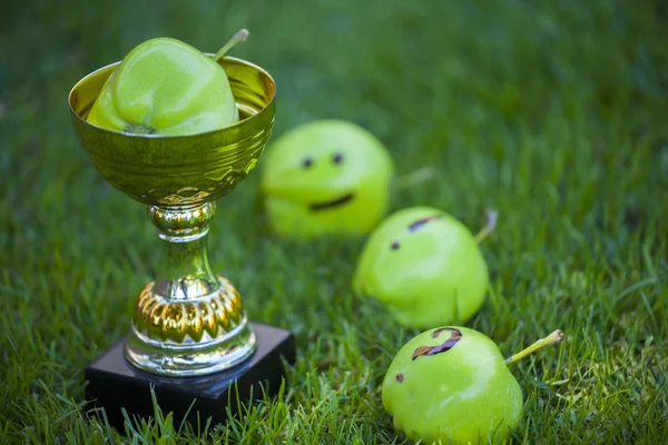 Gold Cup Apfel Sommergarten — Stockfoto