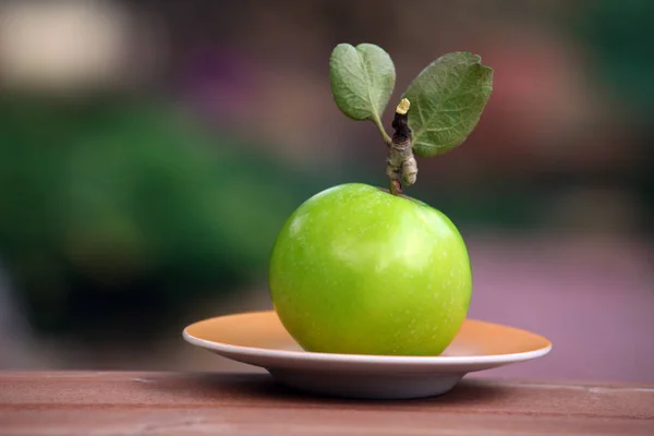 Καταπράσινο Κήπο Πλάκα Μήλου — Φωτογραφία Αρχείου