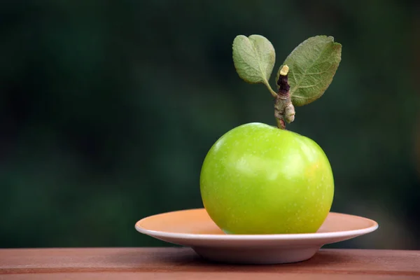 Zelená Zahrada Deska Apple — Stock fotografie