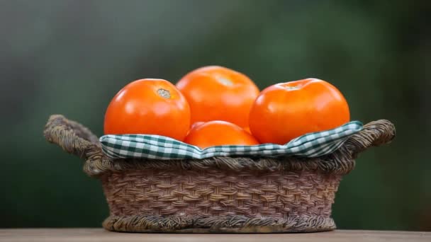 トマトのバスケット夏の庭 — ストック動画