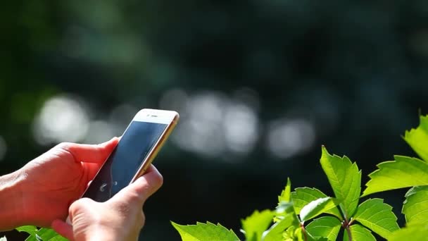 女孩夏日花园智能手机 — 图库视频影像