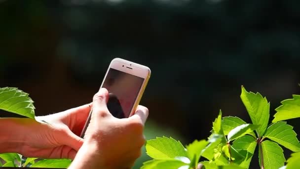 Kız Yaz Bahçe Smartphone — Stok video