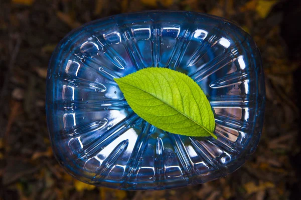 Garrafa Plástico Folha Verde — Fotografia de Stock