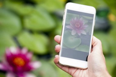 El smartphone Nilüfer 