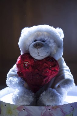 Yün ayı kırmızı kalp