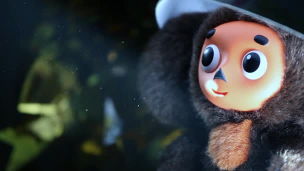Cheburashka Brinquedo Metragem — Vídeo de Stock