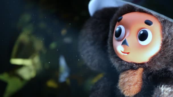 Cheburashka Material Archivo Juguete Lana — Vídeo de stock