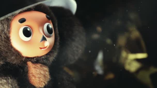 Cheburashka Μαλλί Παιχνίδι Πλάνα — Αρχείο Βίντεο