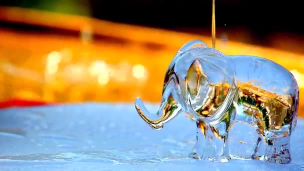 Gläser Elefant Wasser Tropfen Sommergarten — Stockvideo