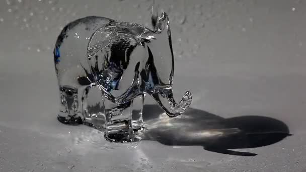 Gafas Elefante Gotas Agua — Vídeos de Stock